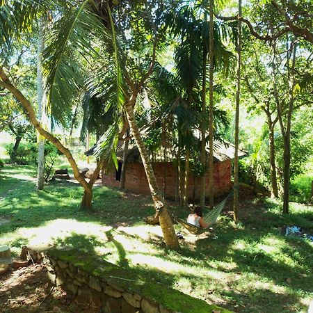 Hidden Well Hiriketiya Hostel Dikwella Exterior foto