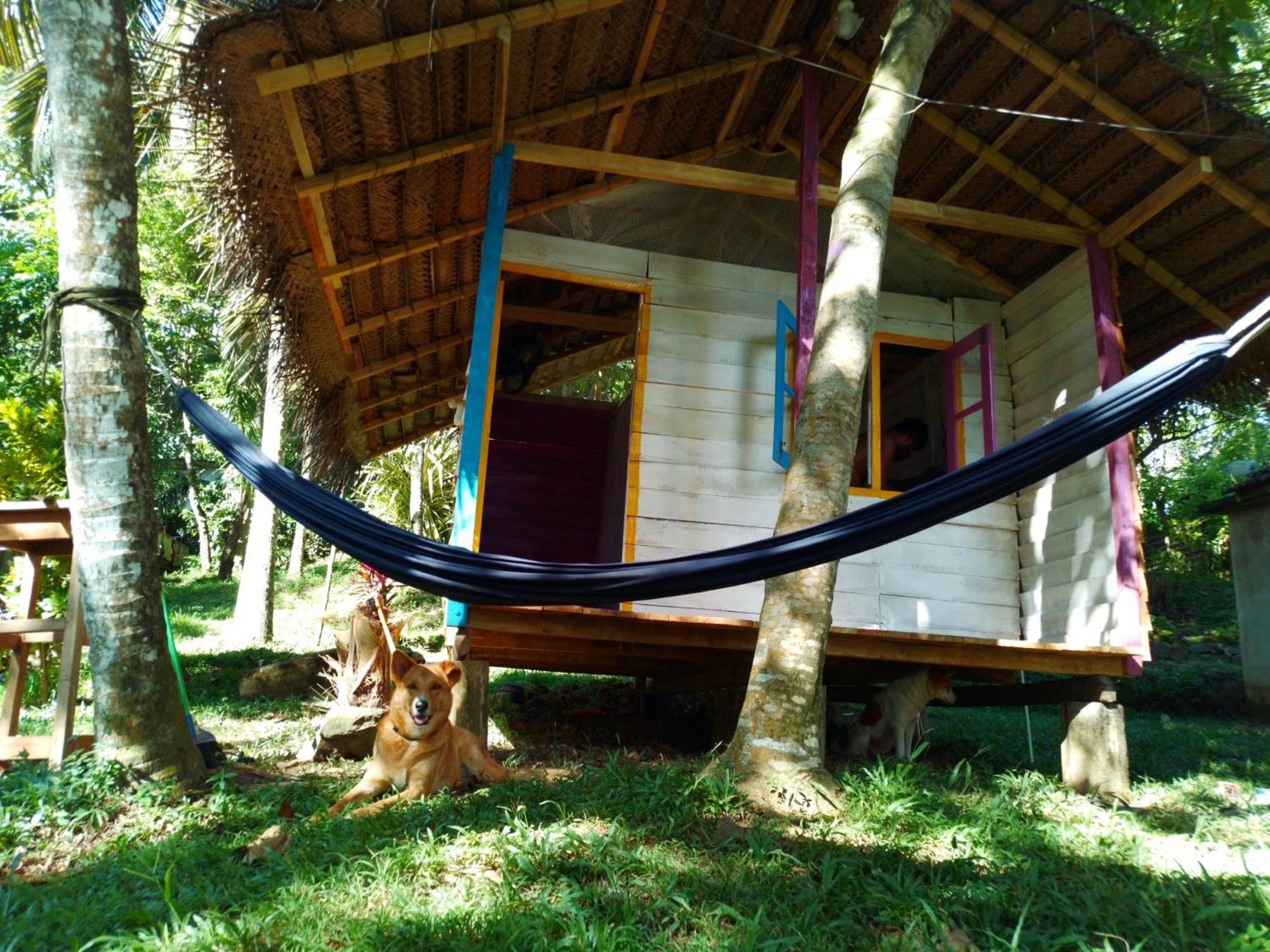 Hidden Well Hiriketiya Hostel Dikwella Exterior foto
