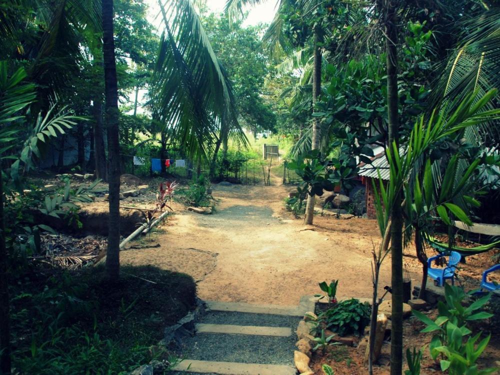 Hidden Well Hiriketiya Hostel Dikwella Exterior foto