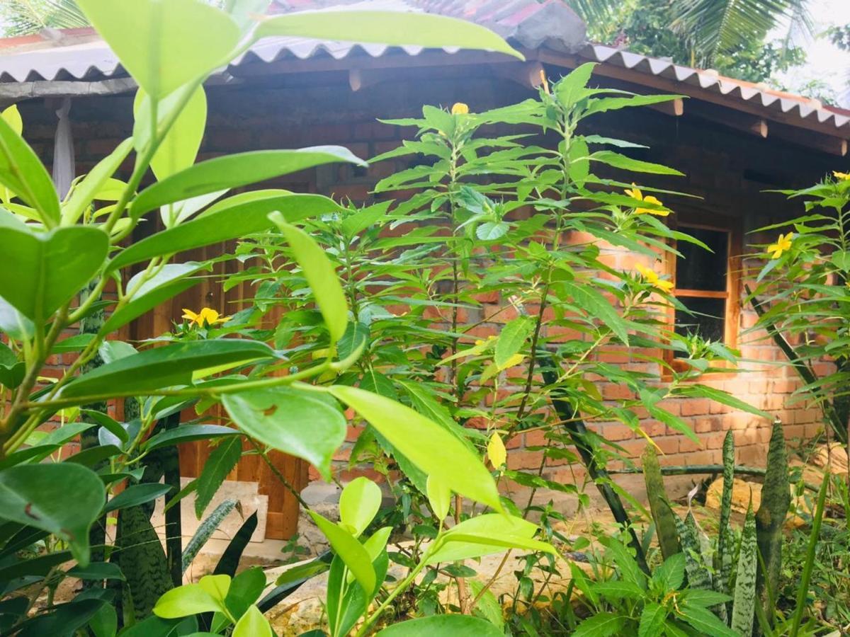 Hidden Well Hiriketiya Hostel Dikwella Exterior foto